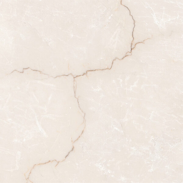 Calico Crema